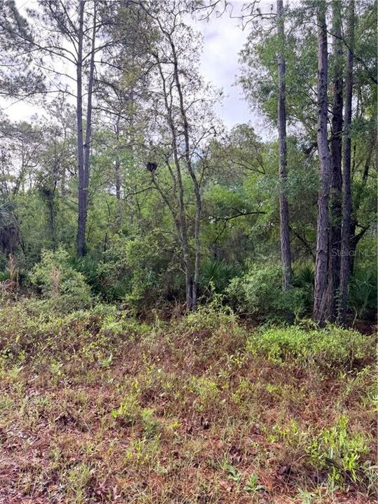 待售: $24,900 (1.00 acres)