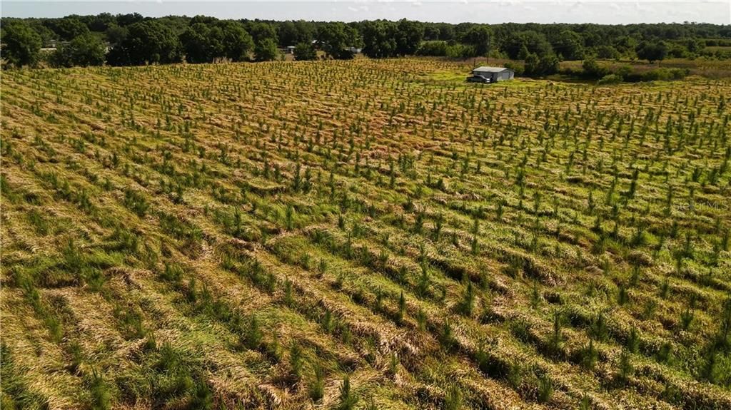 最近售出: $219,900 (10.00 acres)