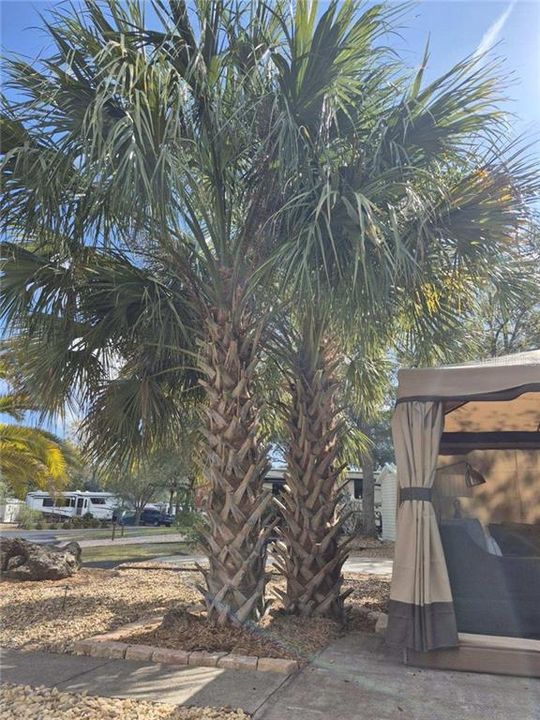 For Sale: $79,900 (0.07 acres)