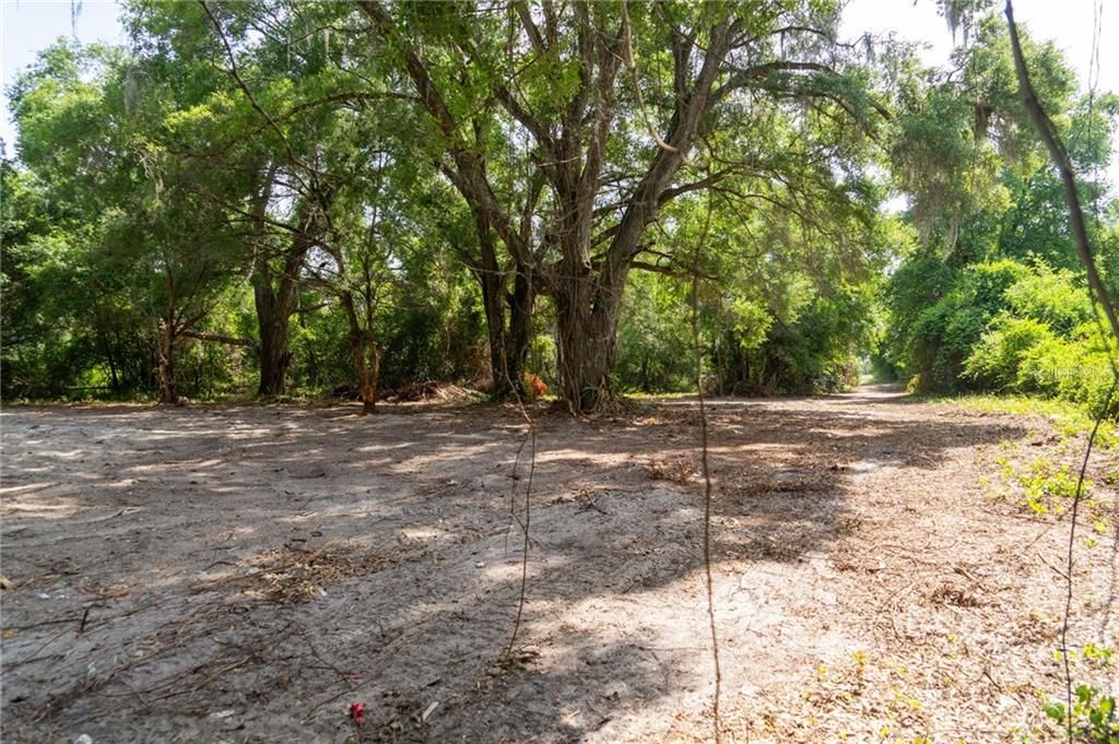 For Sale: $199,900 (2.50 acres)