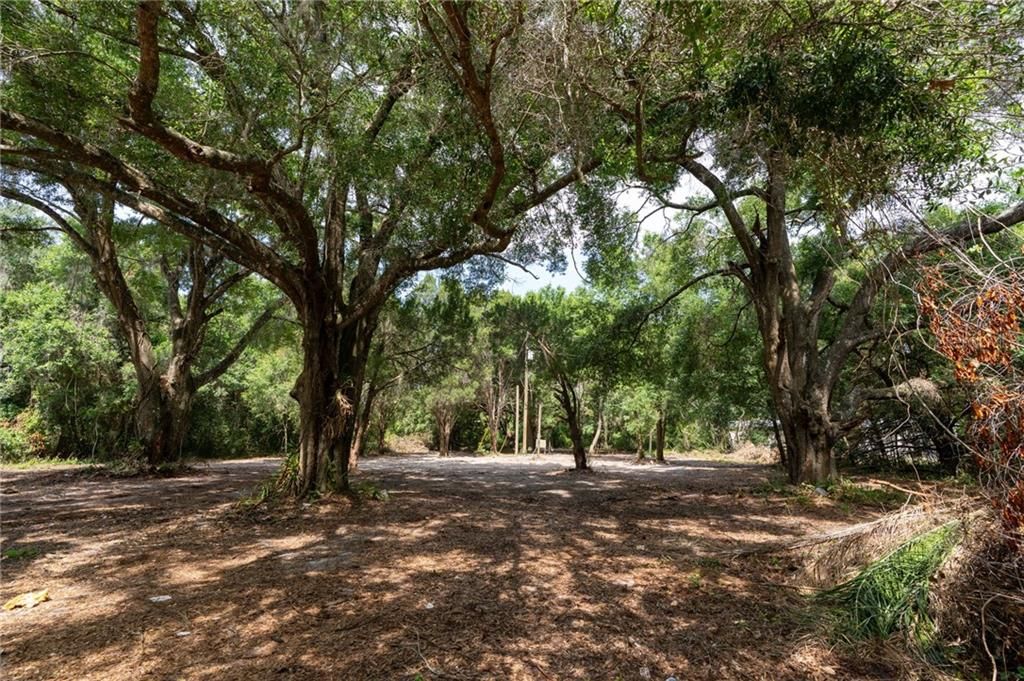 For Sale: $199,900 (2.50 acres)