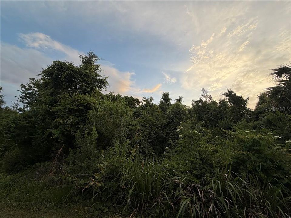For Sale: $16,500 (0.24 acres)