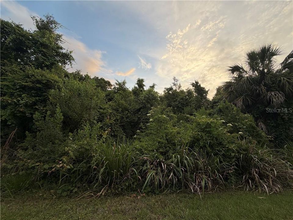 En Venta: $14,000 (0.20 acres)