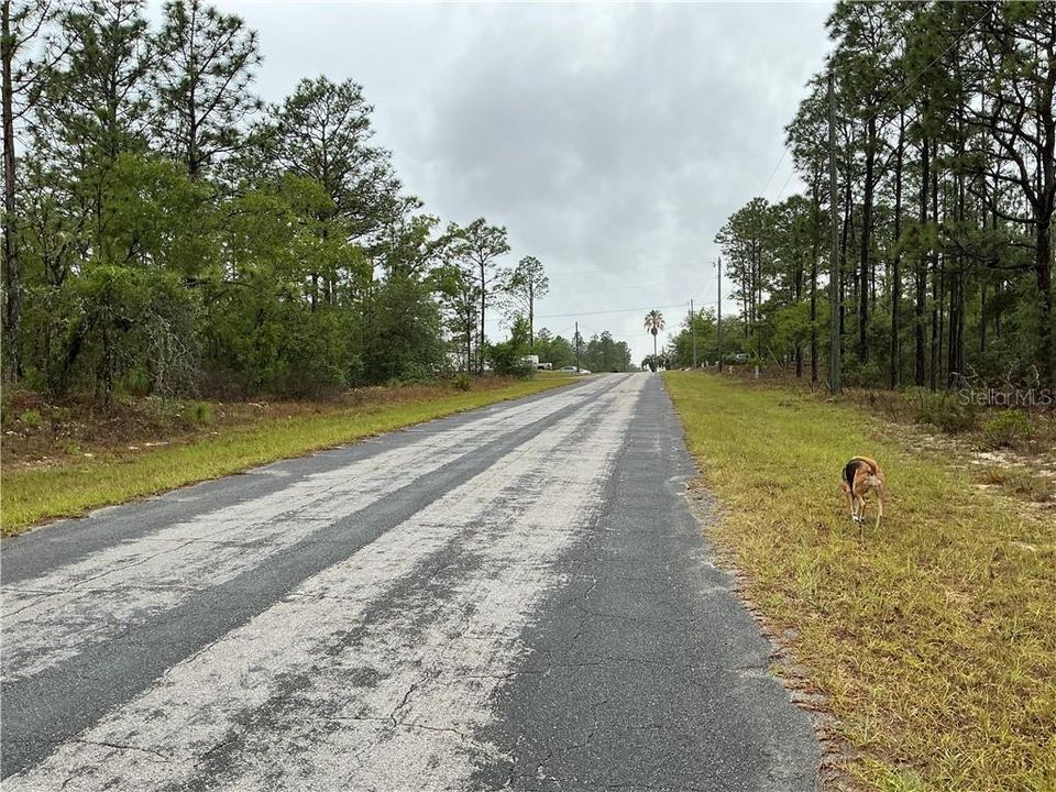 待售: $14,000 (0.23 acres)