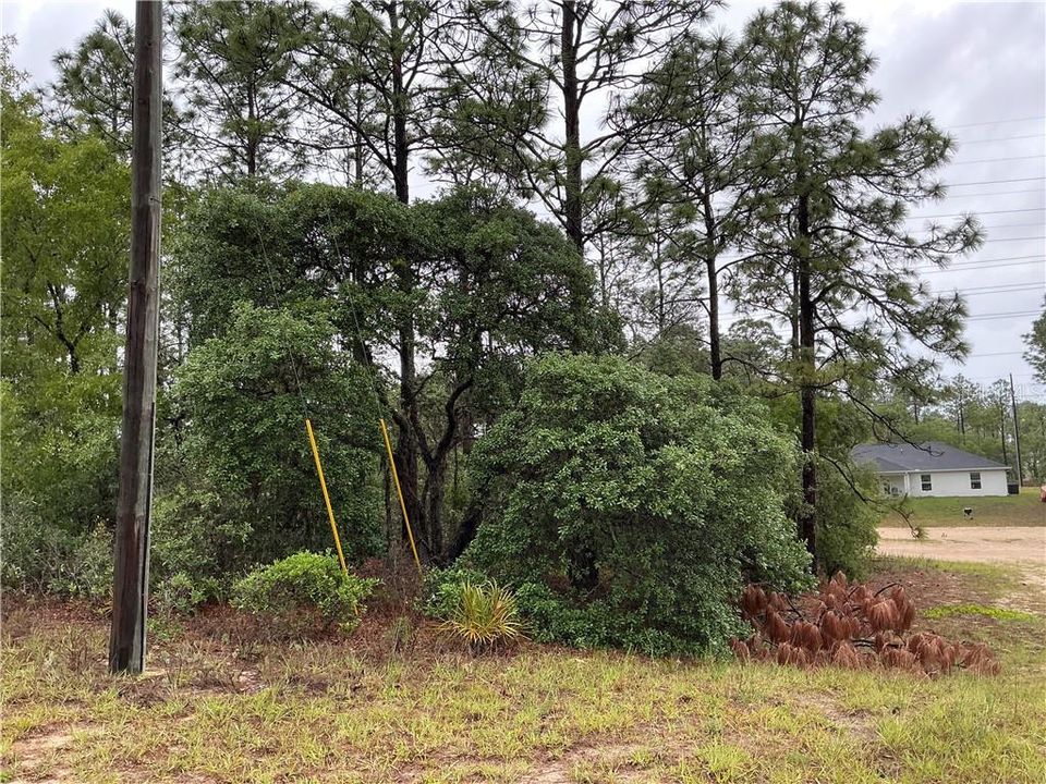 待售: $14,000 (0.23 acres)