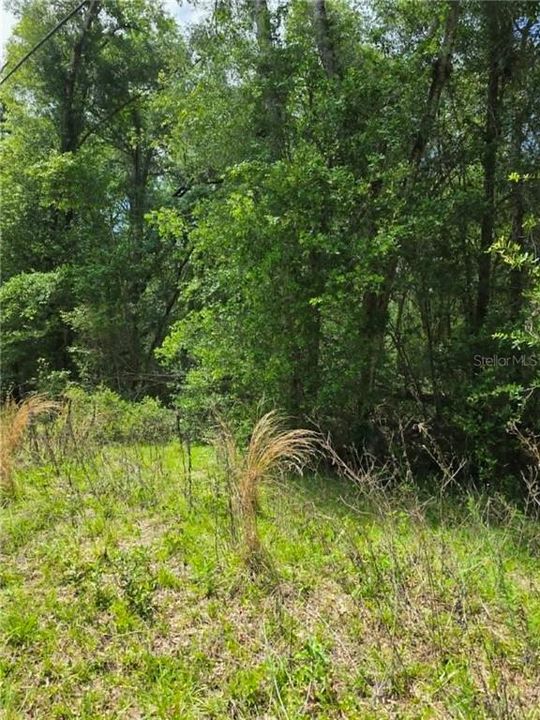 На продажу: $12,500 (0.28 acres)