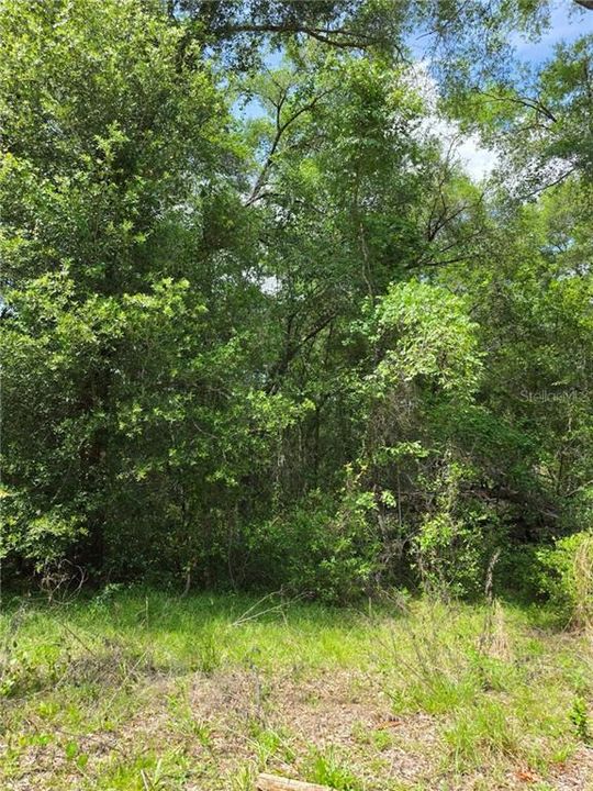 На продажу: $12,500 (0.28 acres)