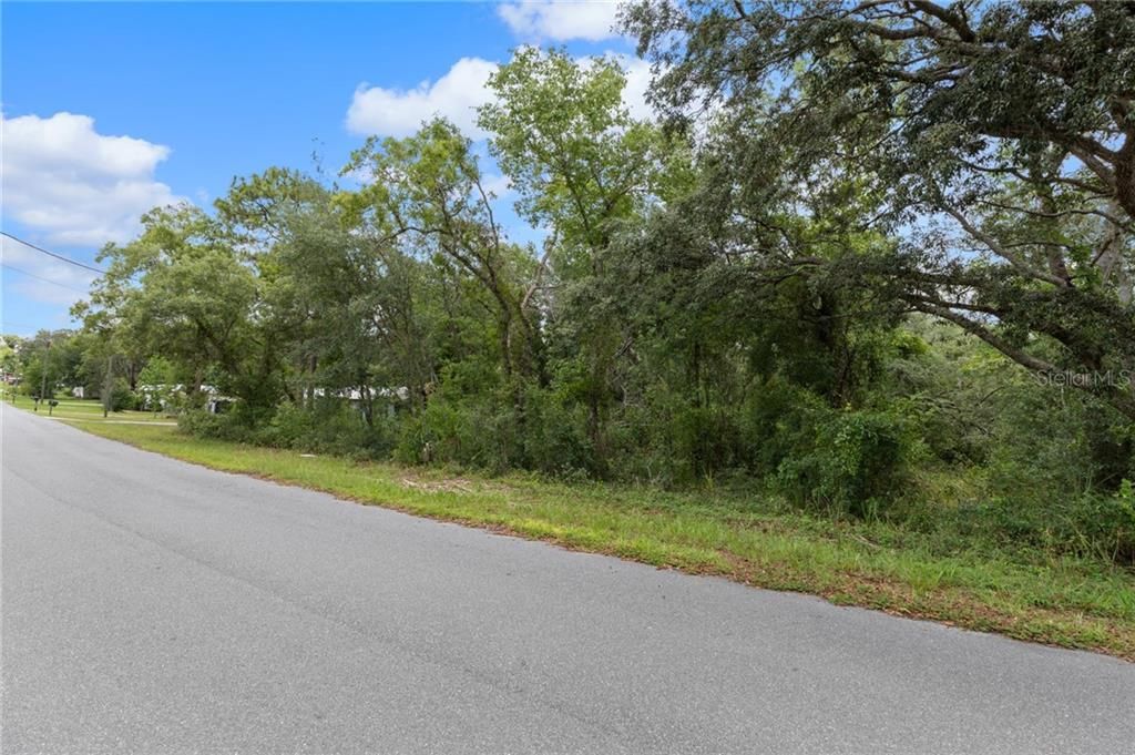 待售: $28,900 (0.25 acres)
