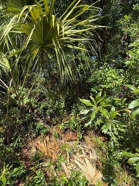 En Venta: $20,000 (0.26 acres)