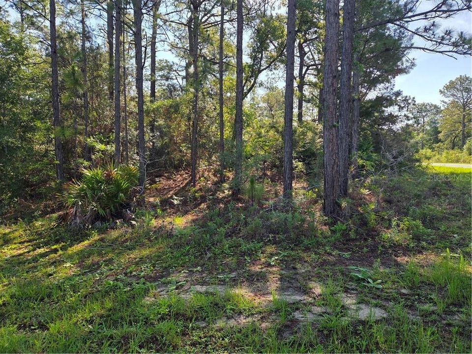 En Venta: $40,000 (0.40 acres)