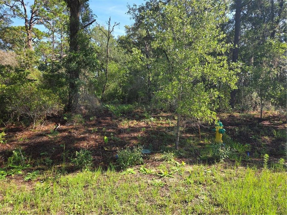 En Venta: $40,000 (0.40 acres)