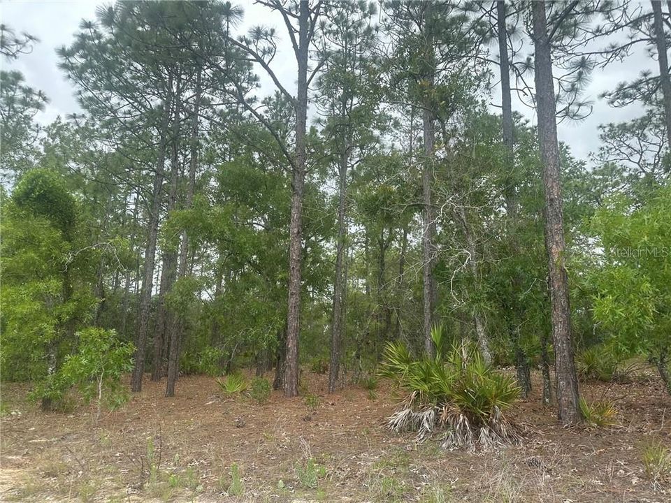 На продажу: $149,900 (2.25 acres)