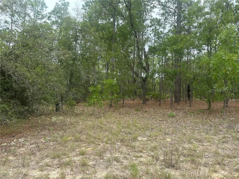 На продажу: $149,900 (2.25 acres)