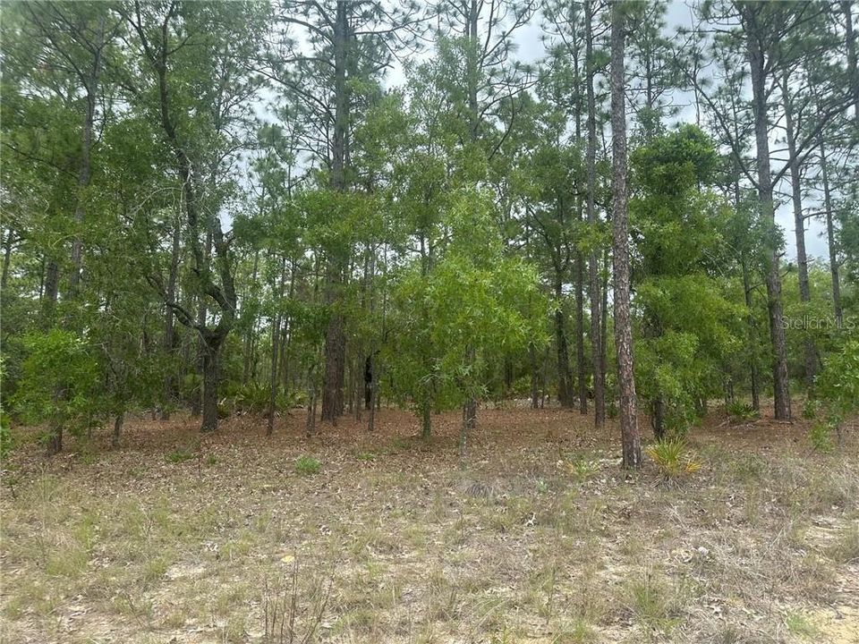 На продажу: $149,900 (2.25 acres)