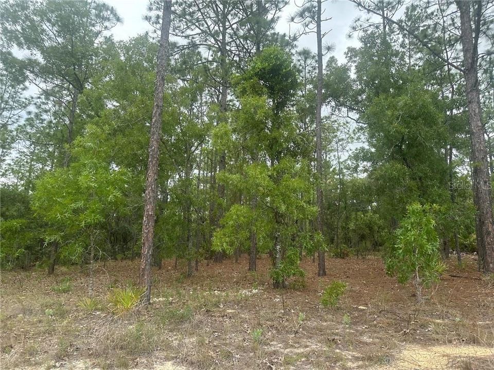 На продажу: $149,900 (2.25 acres)