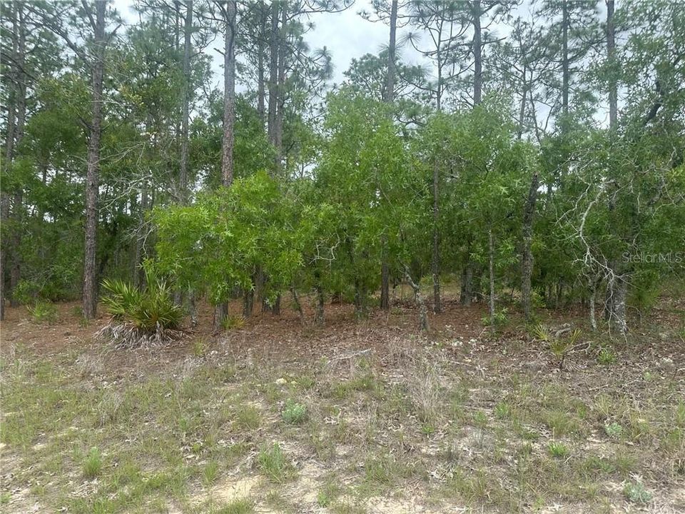 На продажу: $149,900 (2.25 acres)