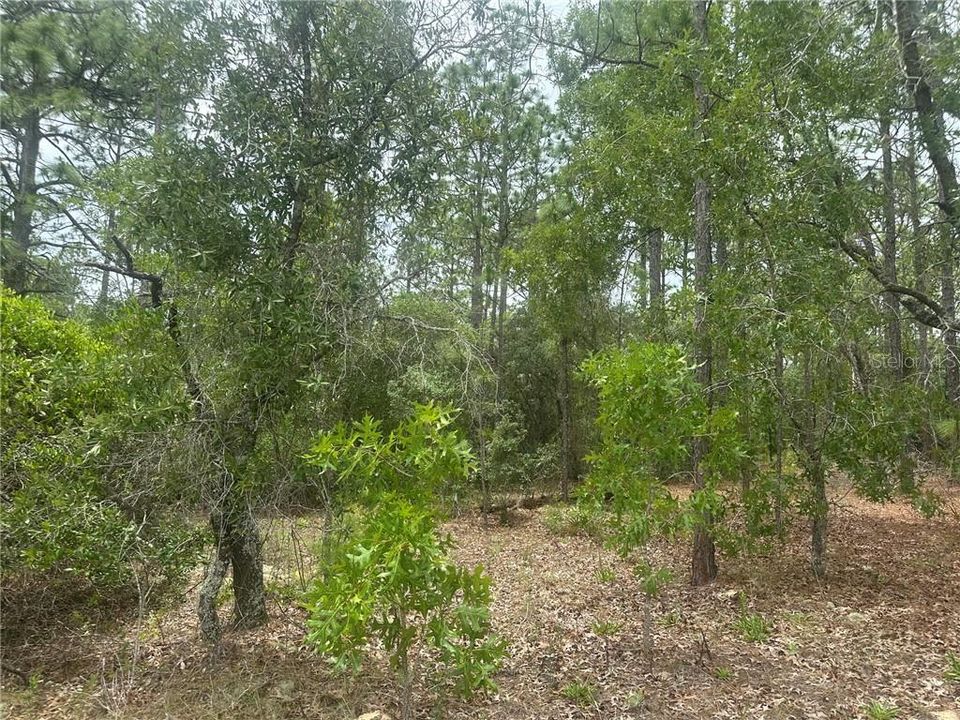 На продажу: $149,900 (2.25 acres)