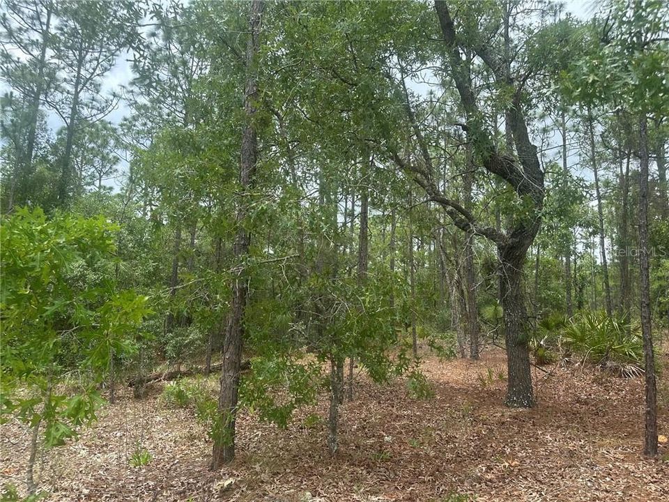 На продажу: $149,900 (2.25 acres)
