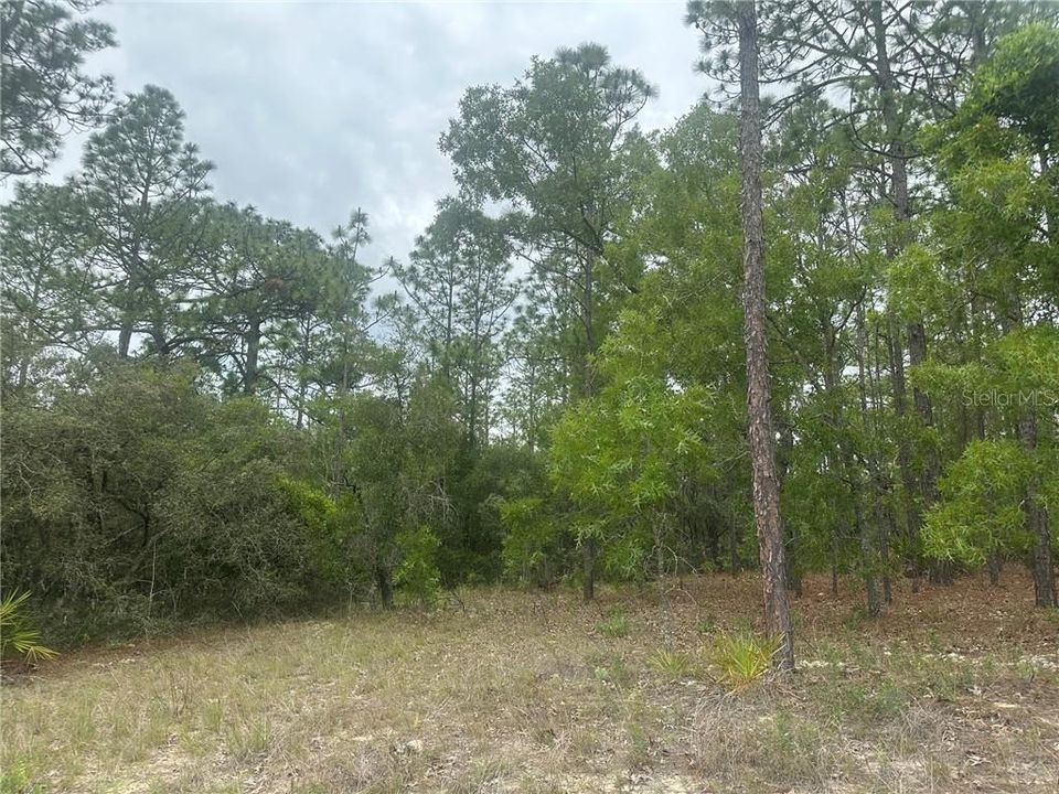 На продажу: $149,900 (2.25 acres)