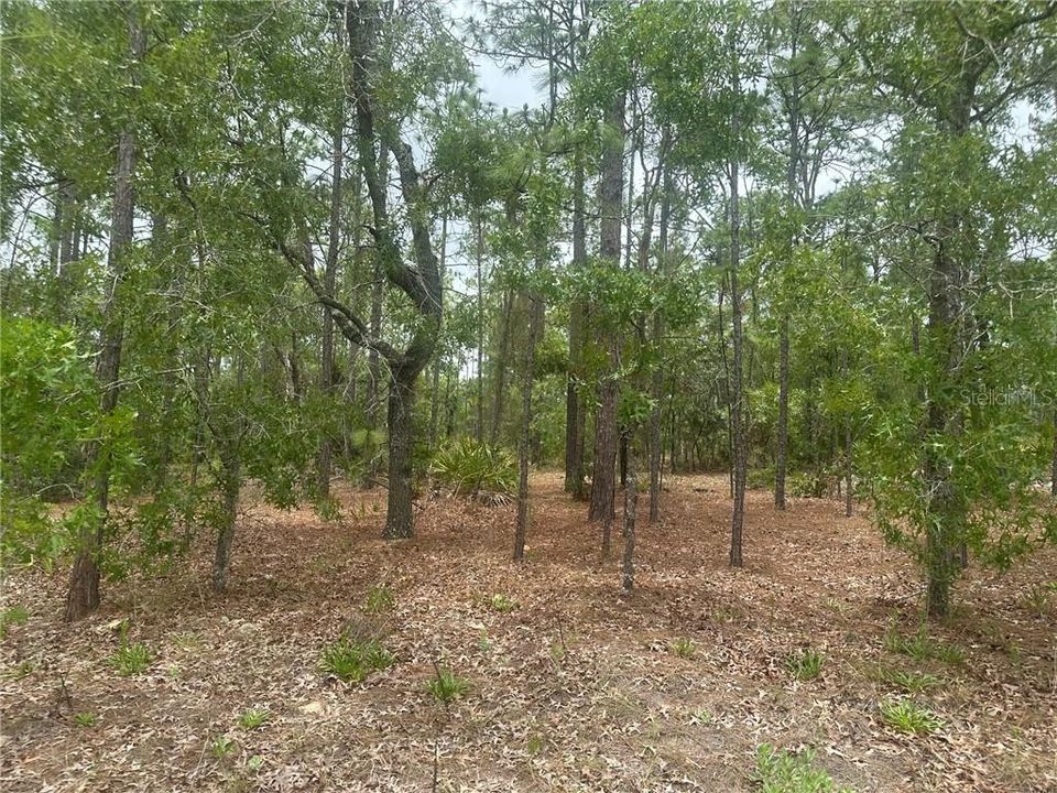На продажу: $149,900 (2.25 acres)