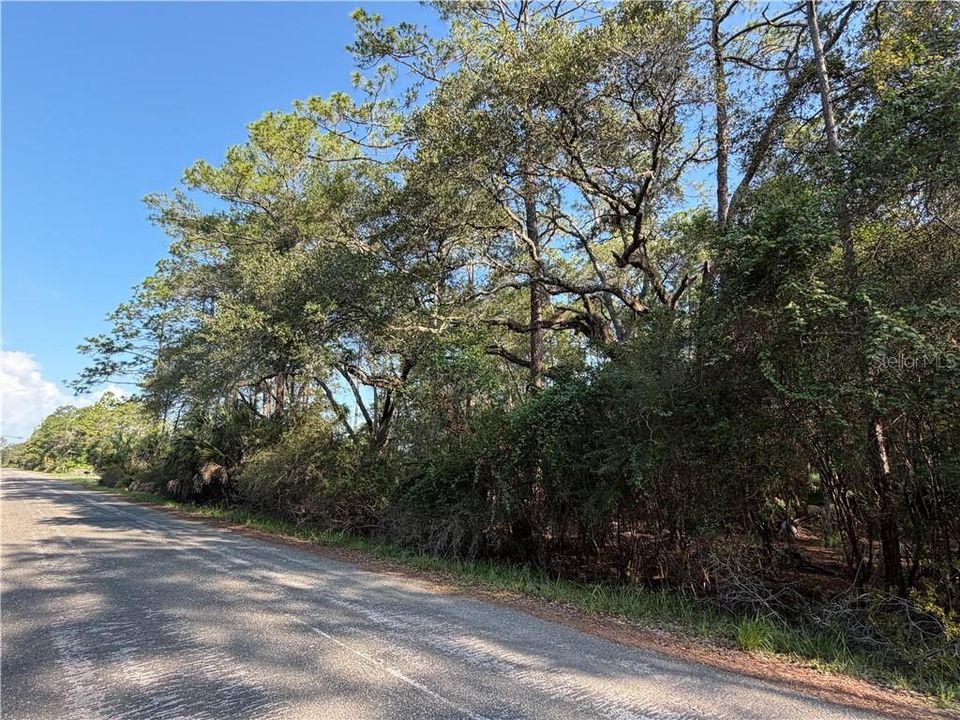 En Venta: $39,900 (1.32 acres)