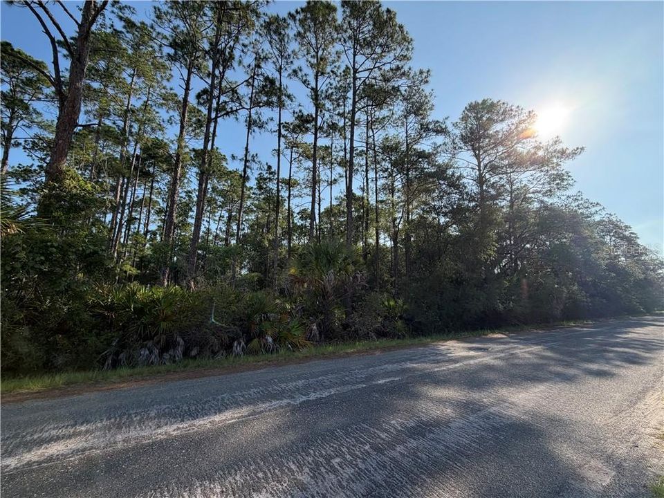 En Venta: $39,900 (1.32 acres)