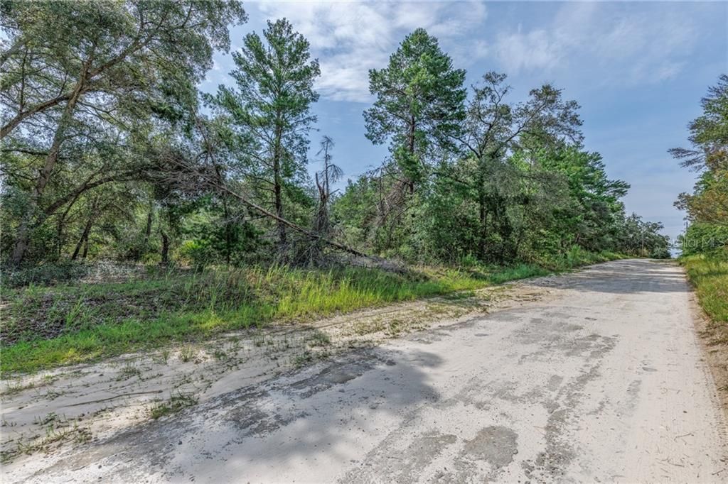 For Sale: $129,000 (4.59 acres)