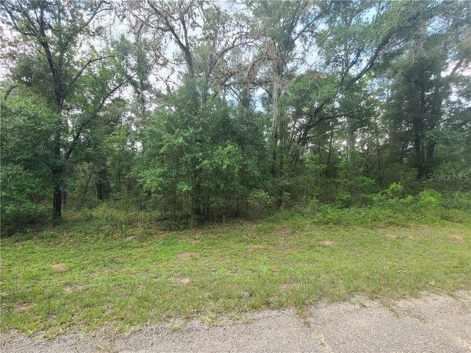 For Sale: $17,900 (0.36 acres)