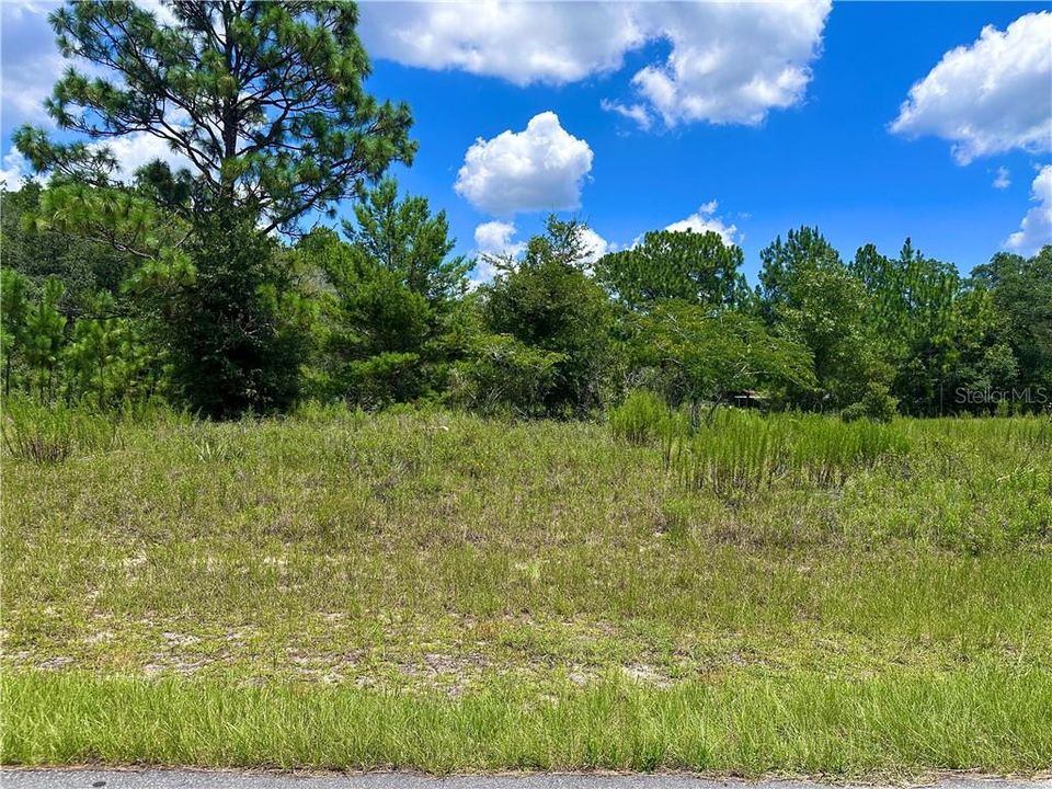 待售: $34,900 (0.39 acres)