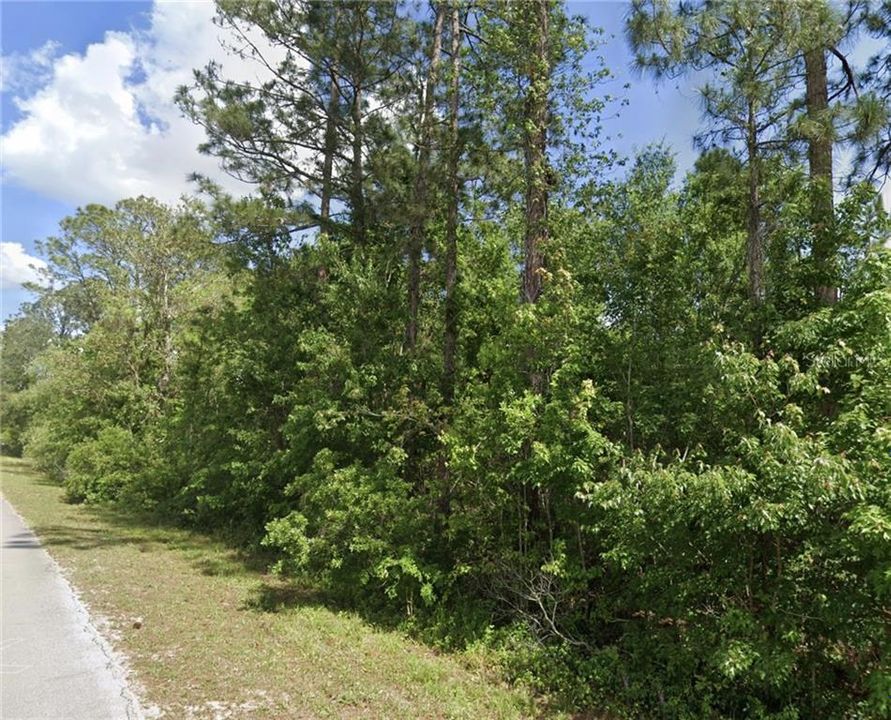 For Sale: $75,000 (4.82 acres)