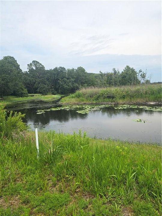En Venta: $194,000 (0.98 acres)