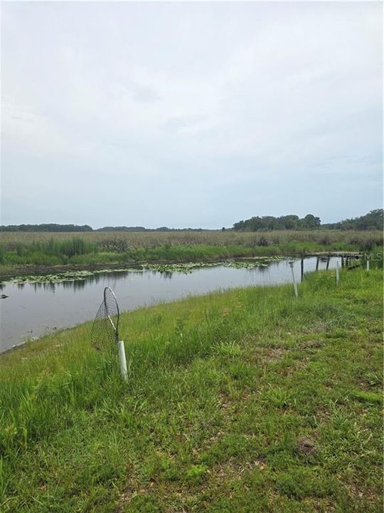 En Venta: $194,000 (0.98 acres)