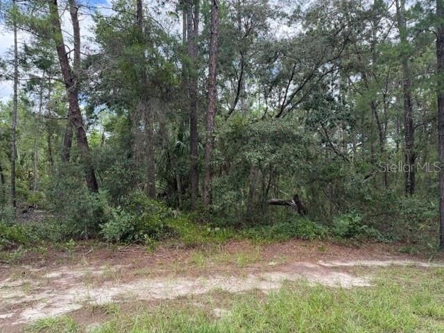 En Venta: $120,000 (0.84 acres)