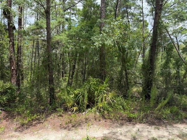 En Venta: $120,000 (0.84 acres)