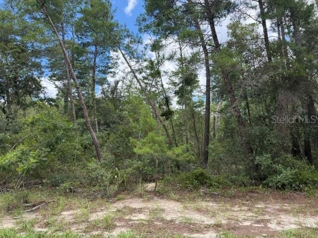 En Venta: $120,000 (0.84 acres)