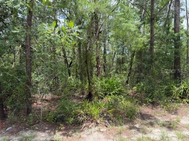 En Venta: $120,000 (0.84 acres)