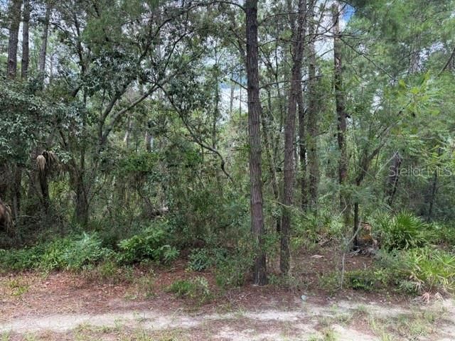 En Venta: $120,000 (0.84 acres)