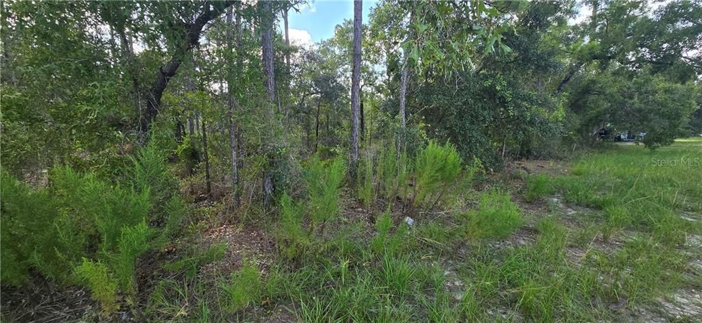 На продажу: $50,000 (0.46 acres)