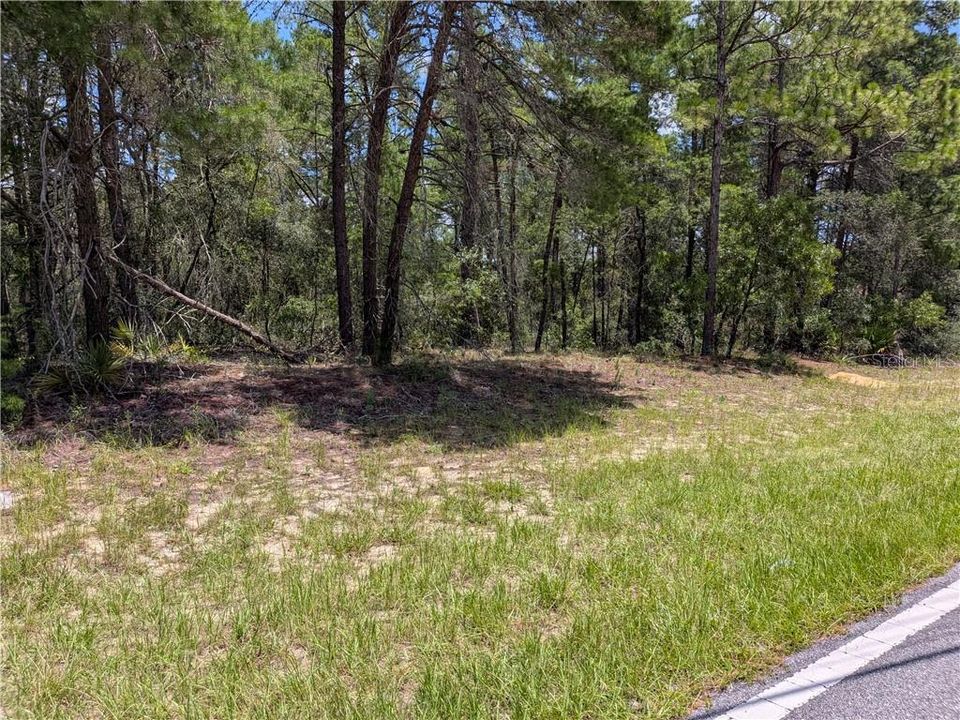 For Sale: $49,000 (0.65 acres)