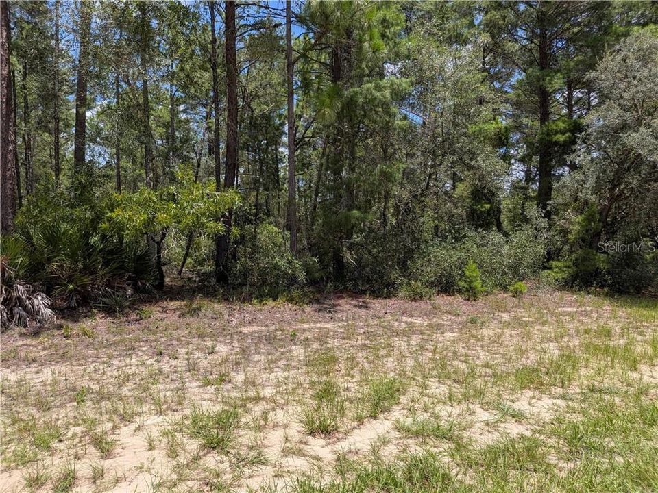 For Sale: $49,000 (0.65 acres)