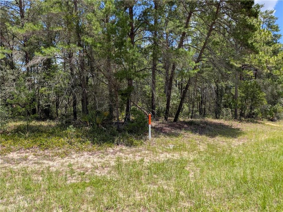 For Sale: $49,000 (0.65 acres)