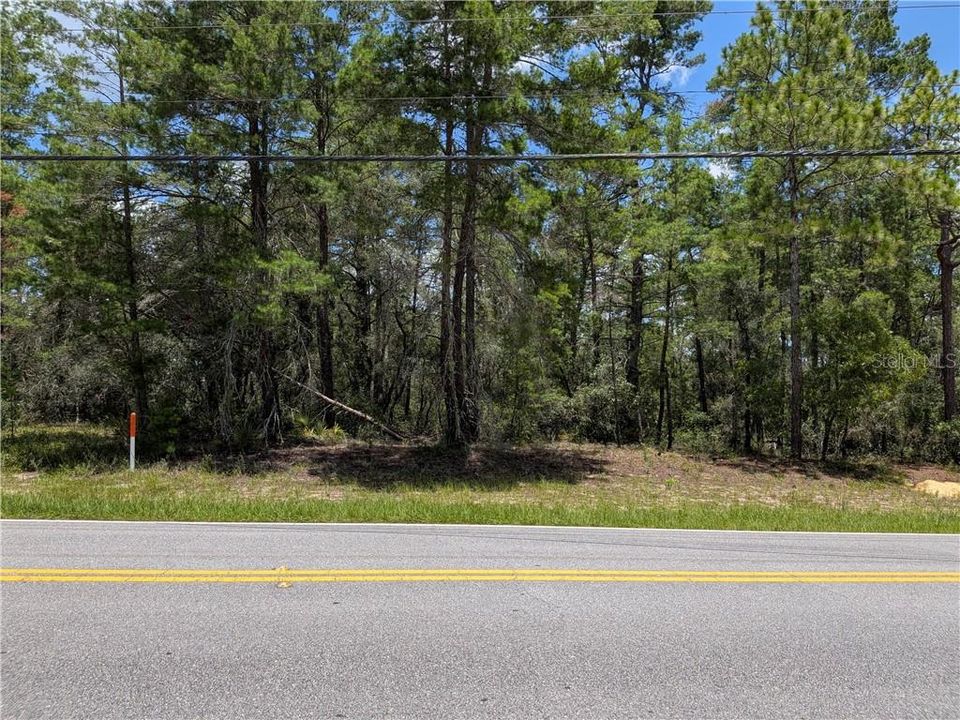 For Sale: $49,000 (0.65 acres)