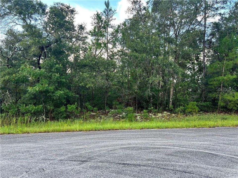 На продажу: $24,900 (0.23 acres)
