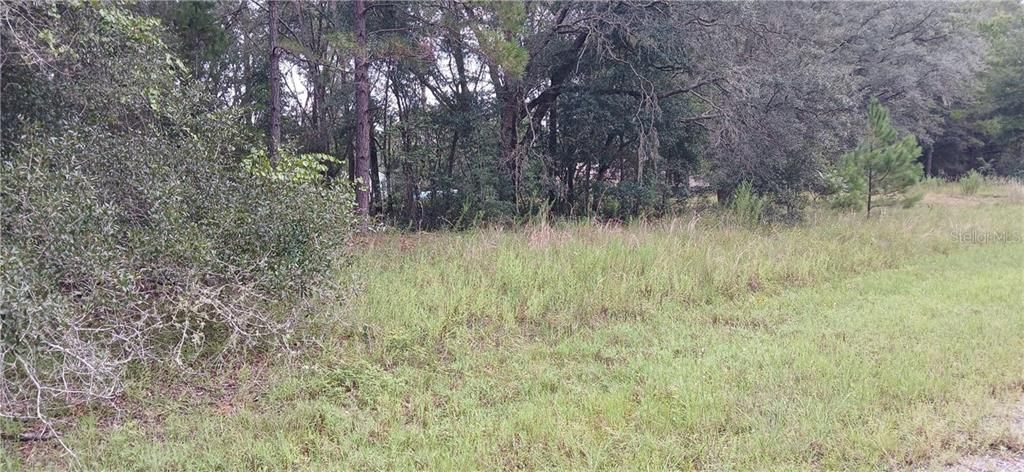 For Sale: $21,000 (0.34 acres)