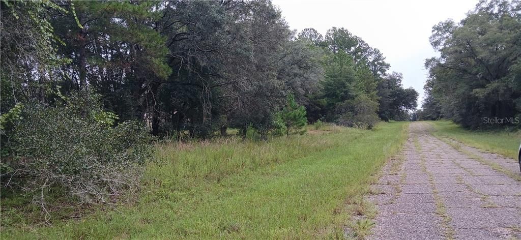 For Sale: $21,000 (0.34 acres)