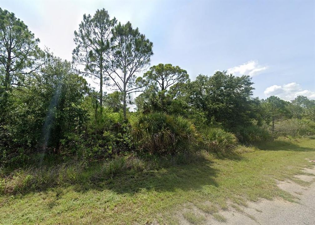 待售: $11,000 (0.23 acres)
