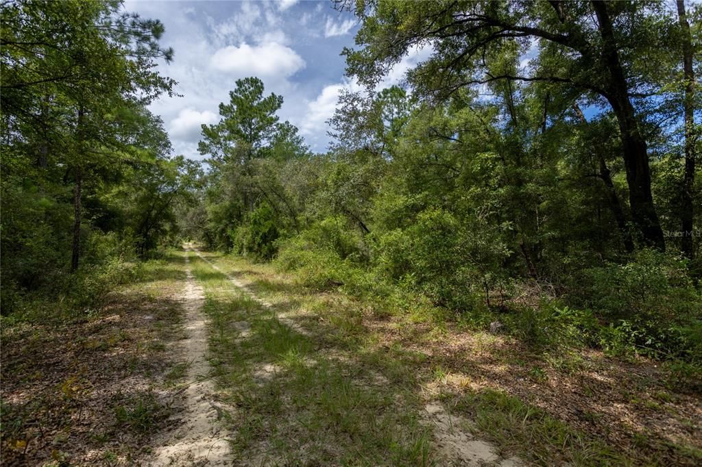 For Sale: $26,500 (1.25 acres)