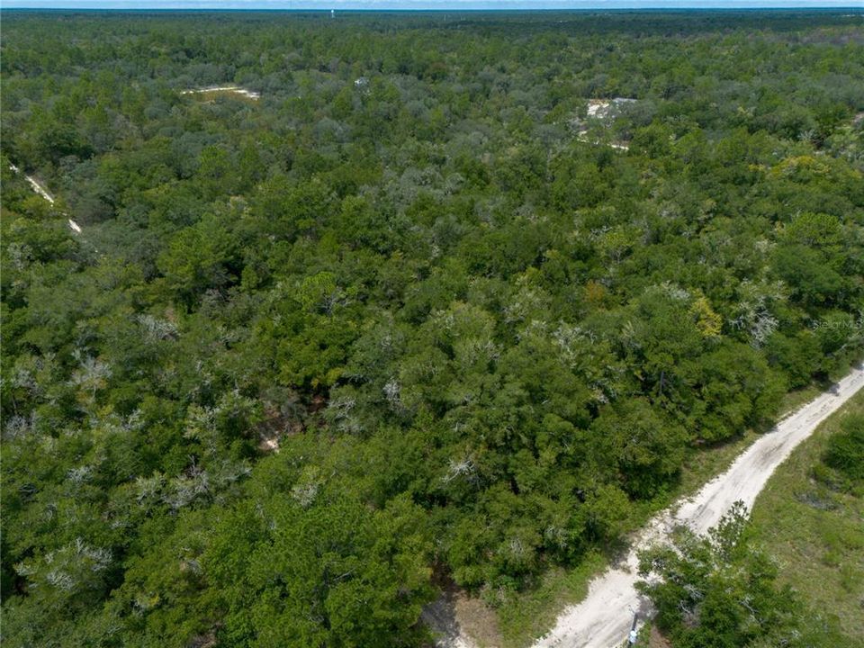For Sale: $26,500 (1.25 acres)