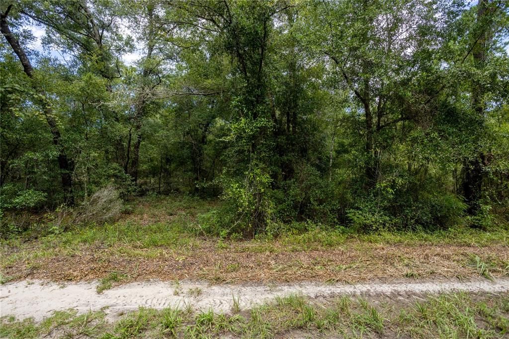 For Sale: $26,500 (1.25 acres)