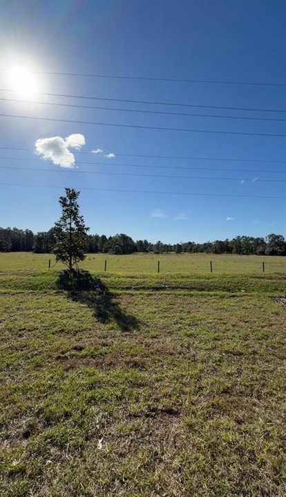 For Rent: $3,100 (4 beds, 2 baths, 1932 Square Feet)